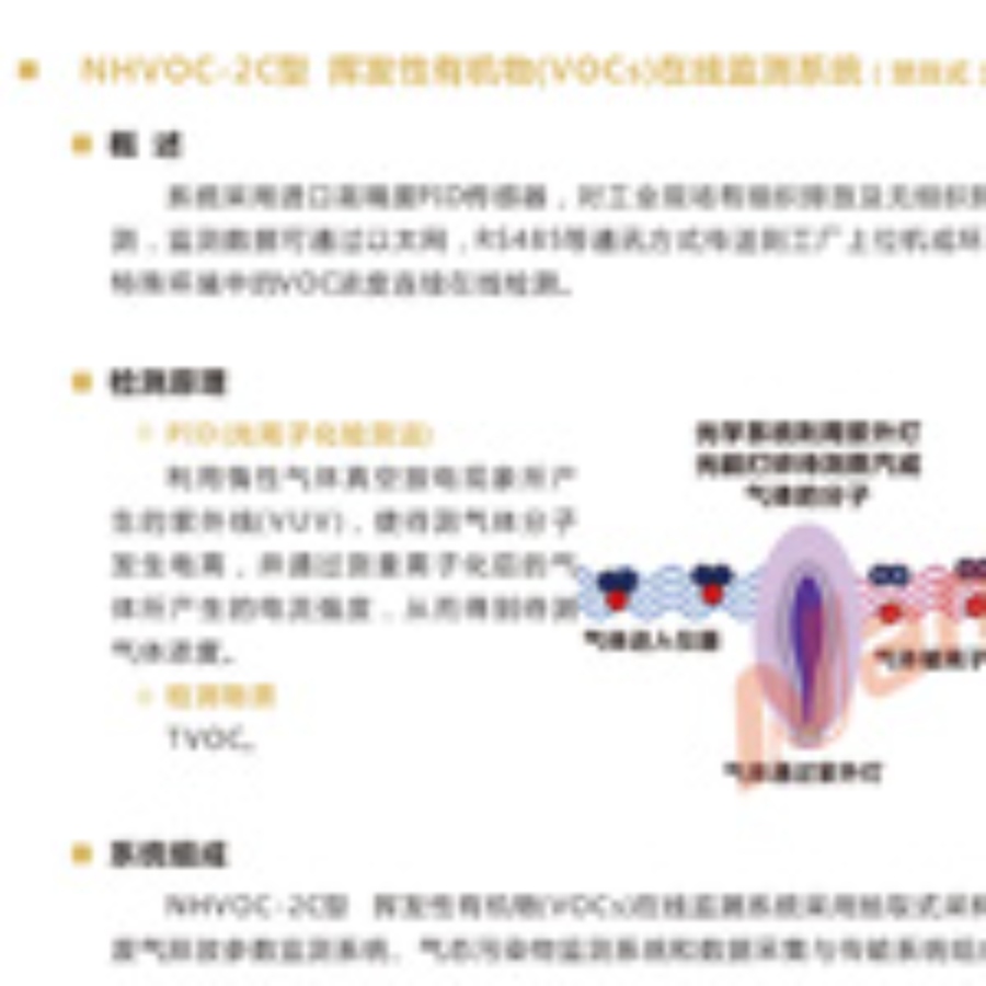 NHVOC-2C型 挥发性有机物（VOCs）在线监测系统（壁挂式）